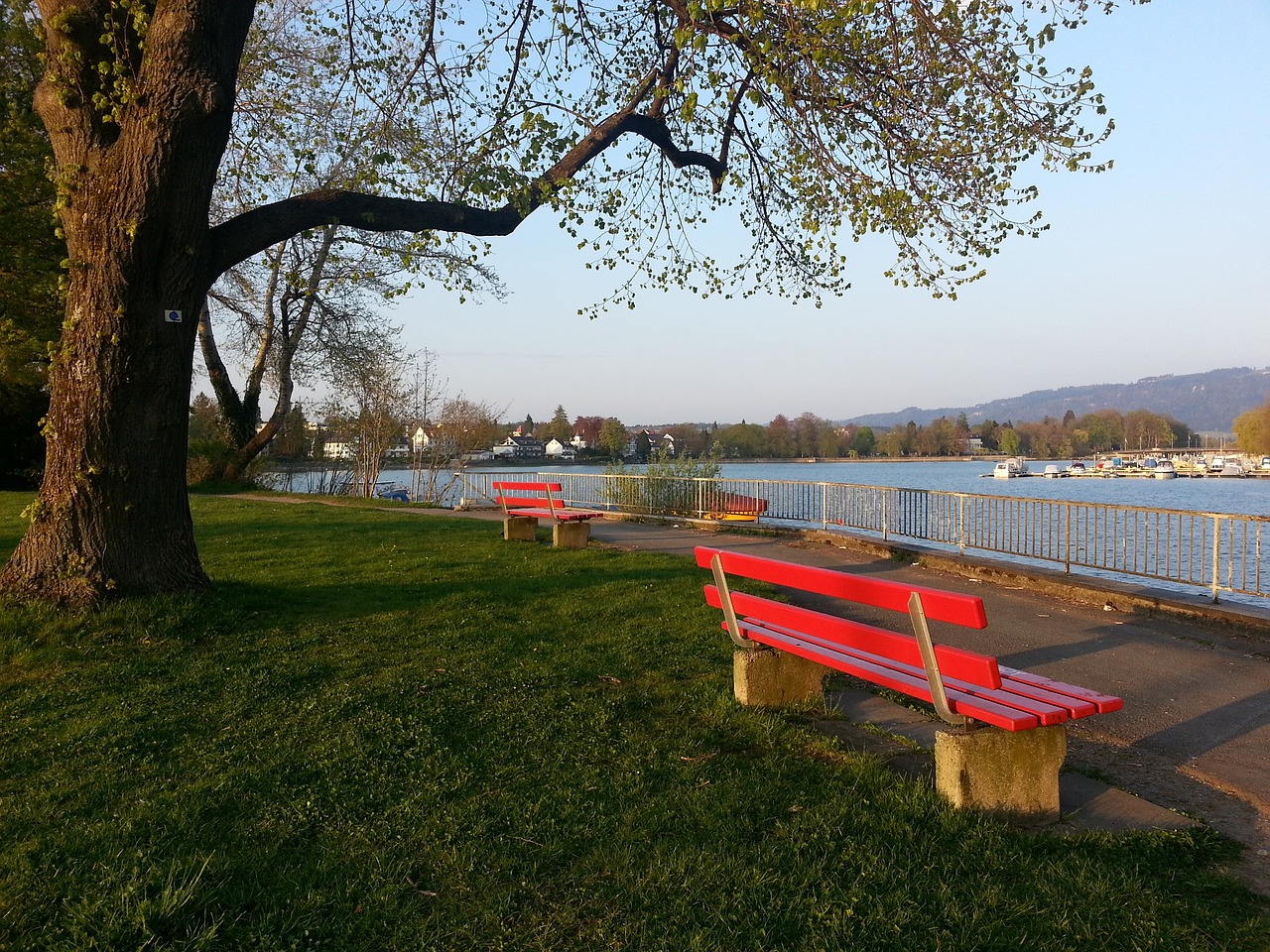 外援通常在 外援通常在